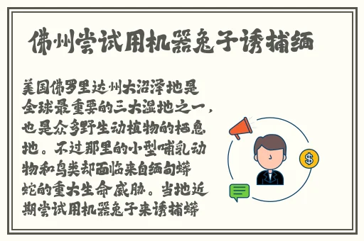 久久精品国产一区二区电影**